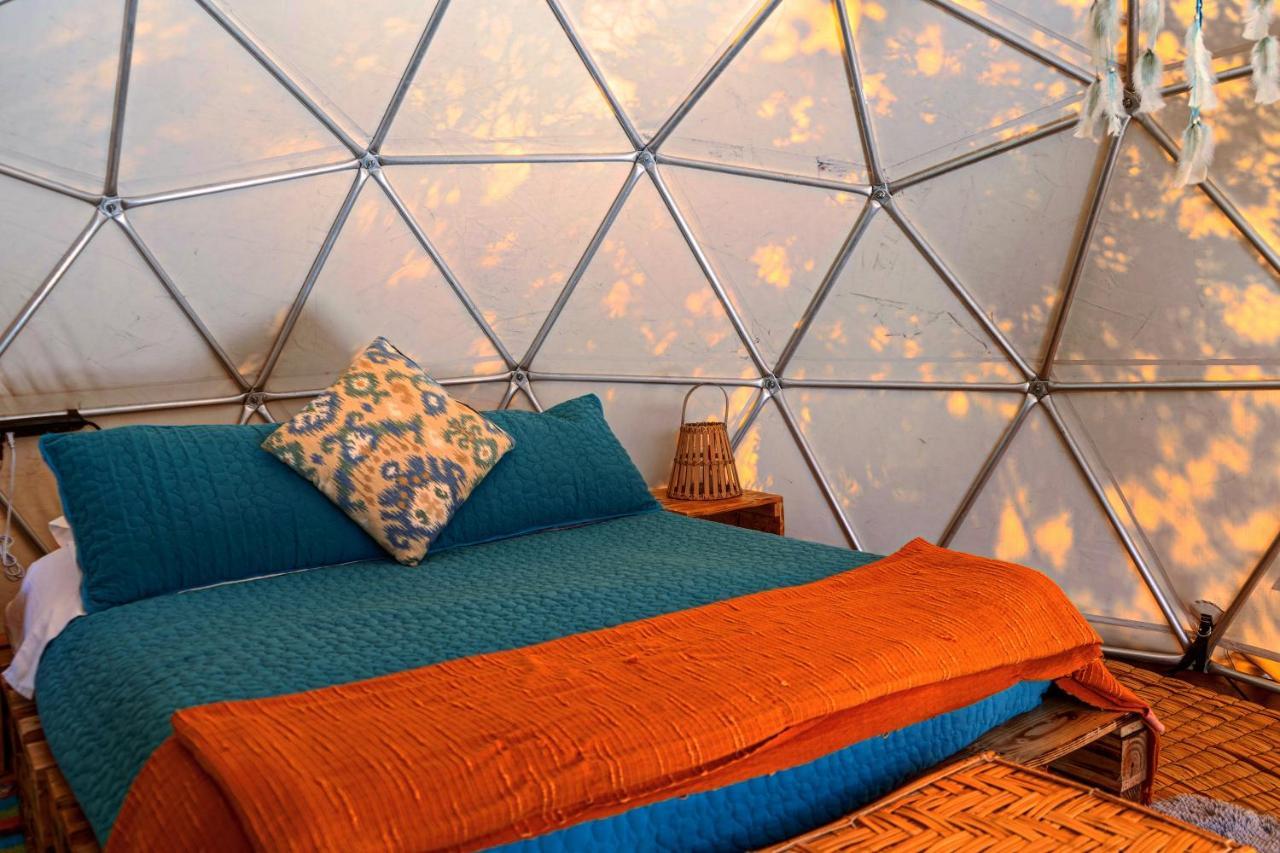 Alma De Campo Glamping - Laguna De ซูเอสกา ภายนอก รูปภาพ