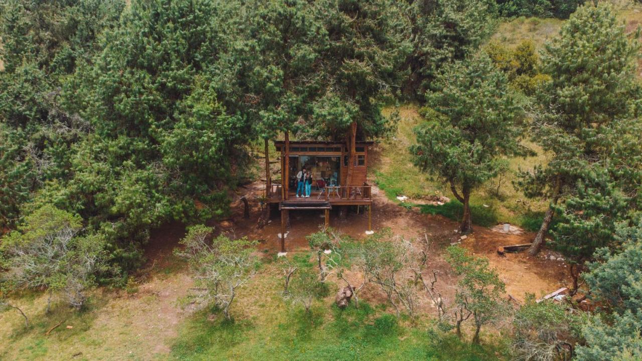 Alma De Campo Glamping - Laguna De ซูเอสกา ภายนอก รูปภาพ