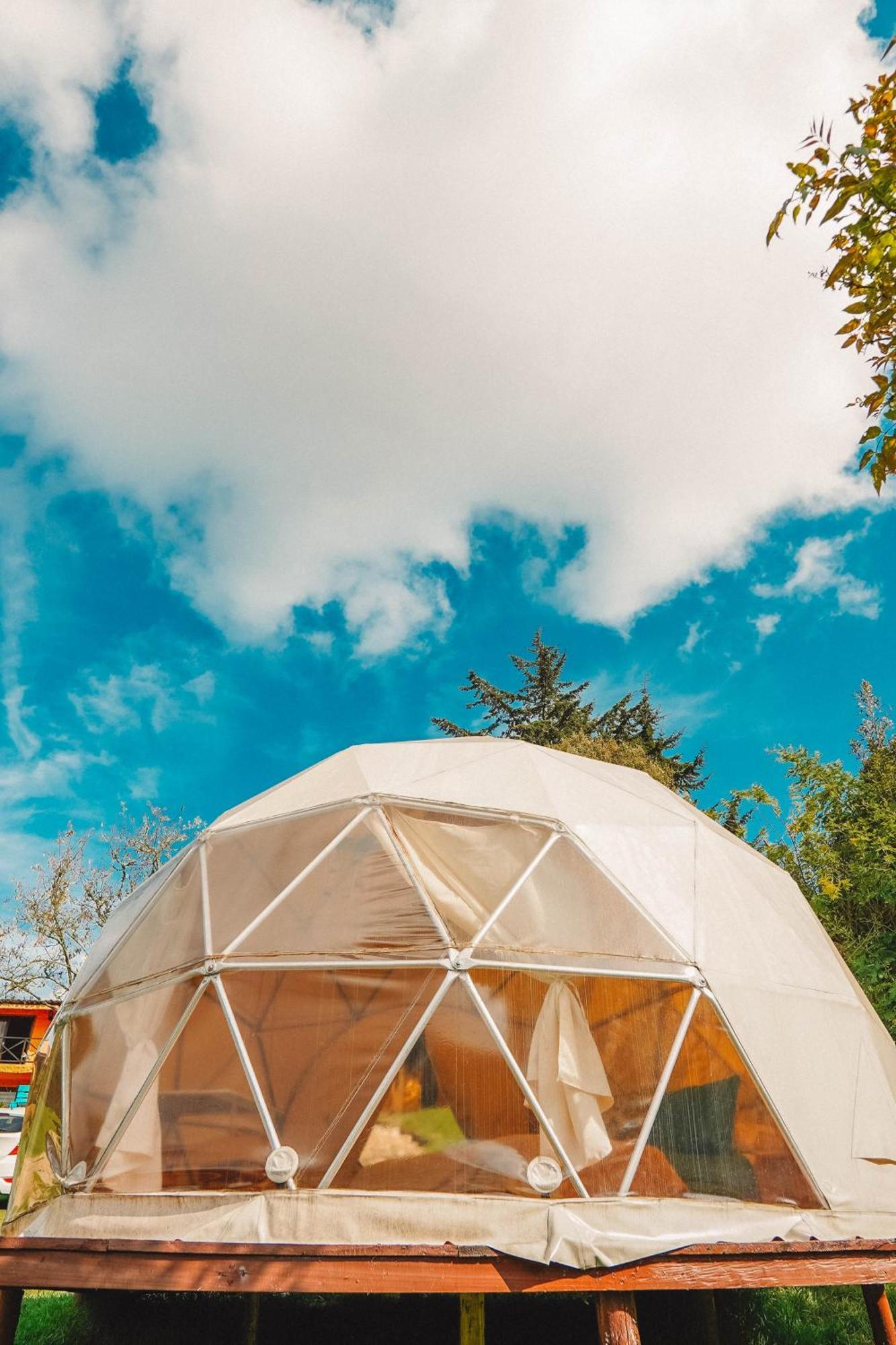 Alma De Campo Glamping - Laguna De ซูเอสกา ภายนอก รูปภาพ