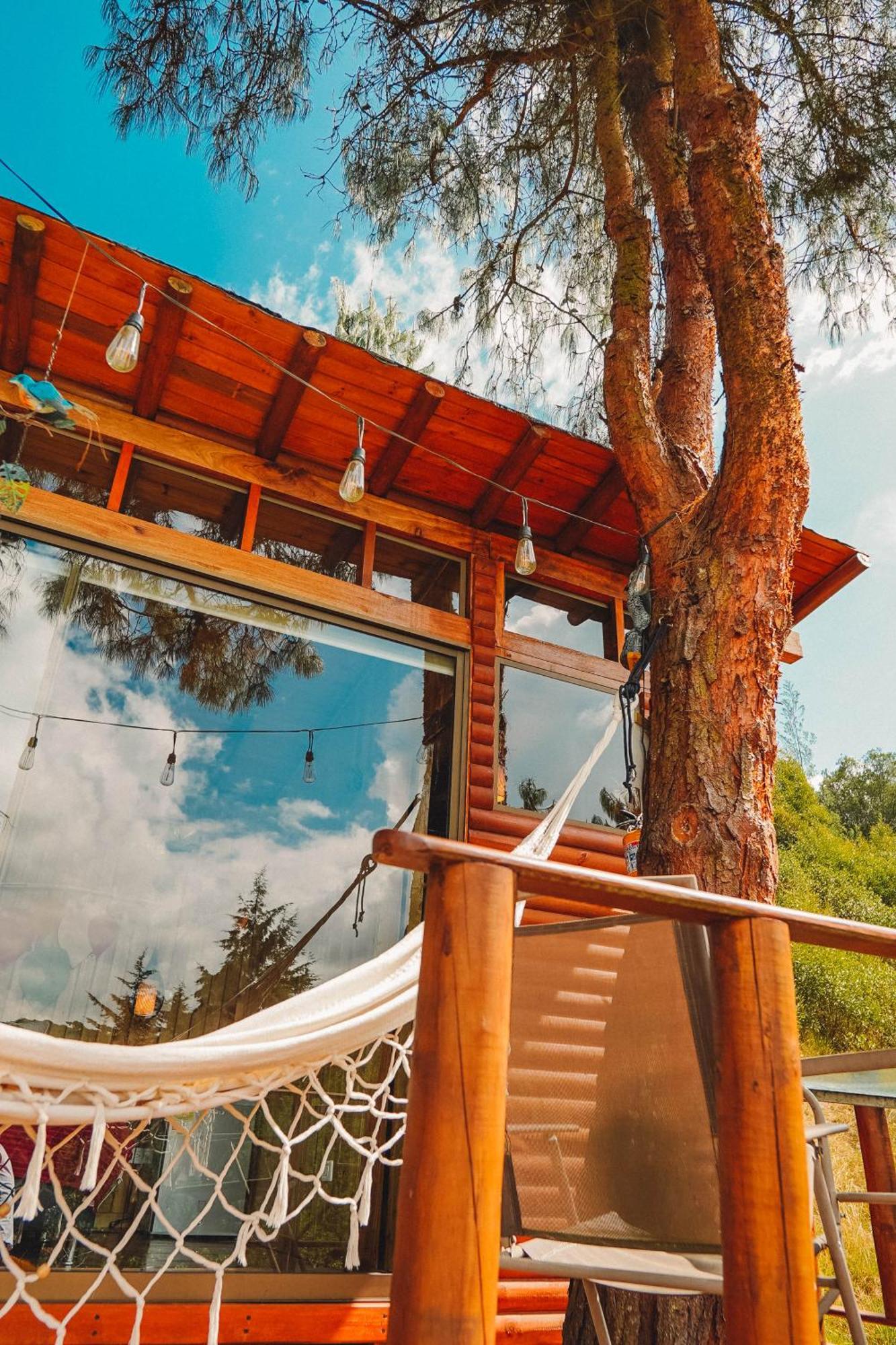 Alma De Campo Glamping - Laguna De ซูเอสกา ภายนอก รูปภาพ